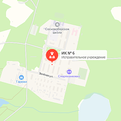 ИК-6 Сосновый Бор